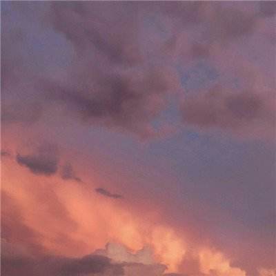 B—sports登录B体育